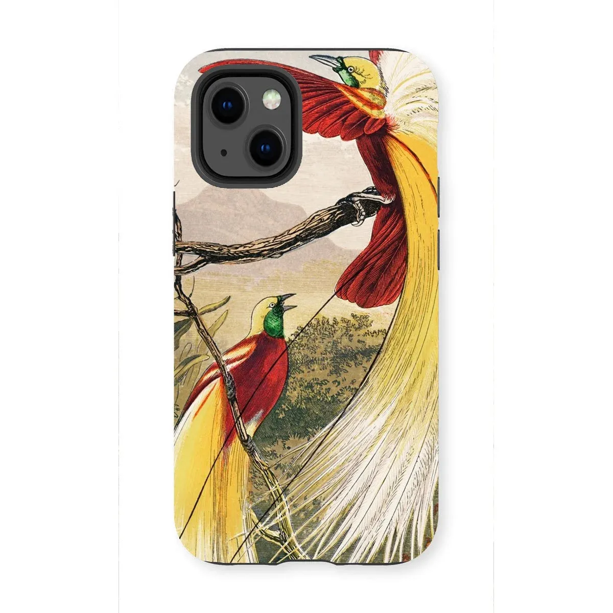 Bird of Paradise - Benjamin Fawcett iPhone Case