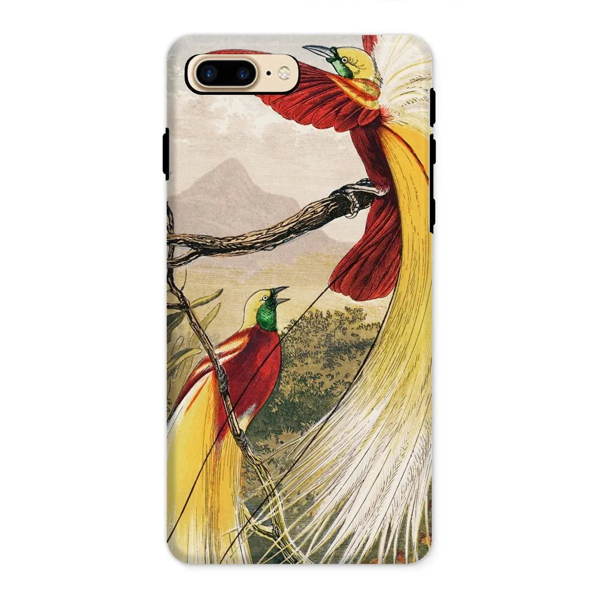 Bird of Paradise - Benjamin Fawcett iPhone Case