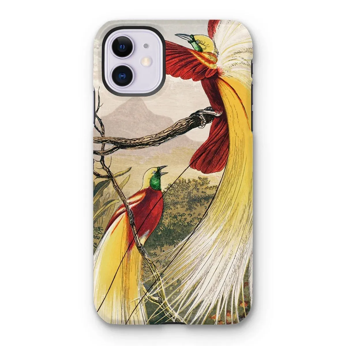 Bird of Paradise - Benjamin Fawcett iPhone Case