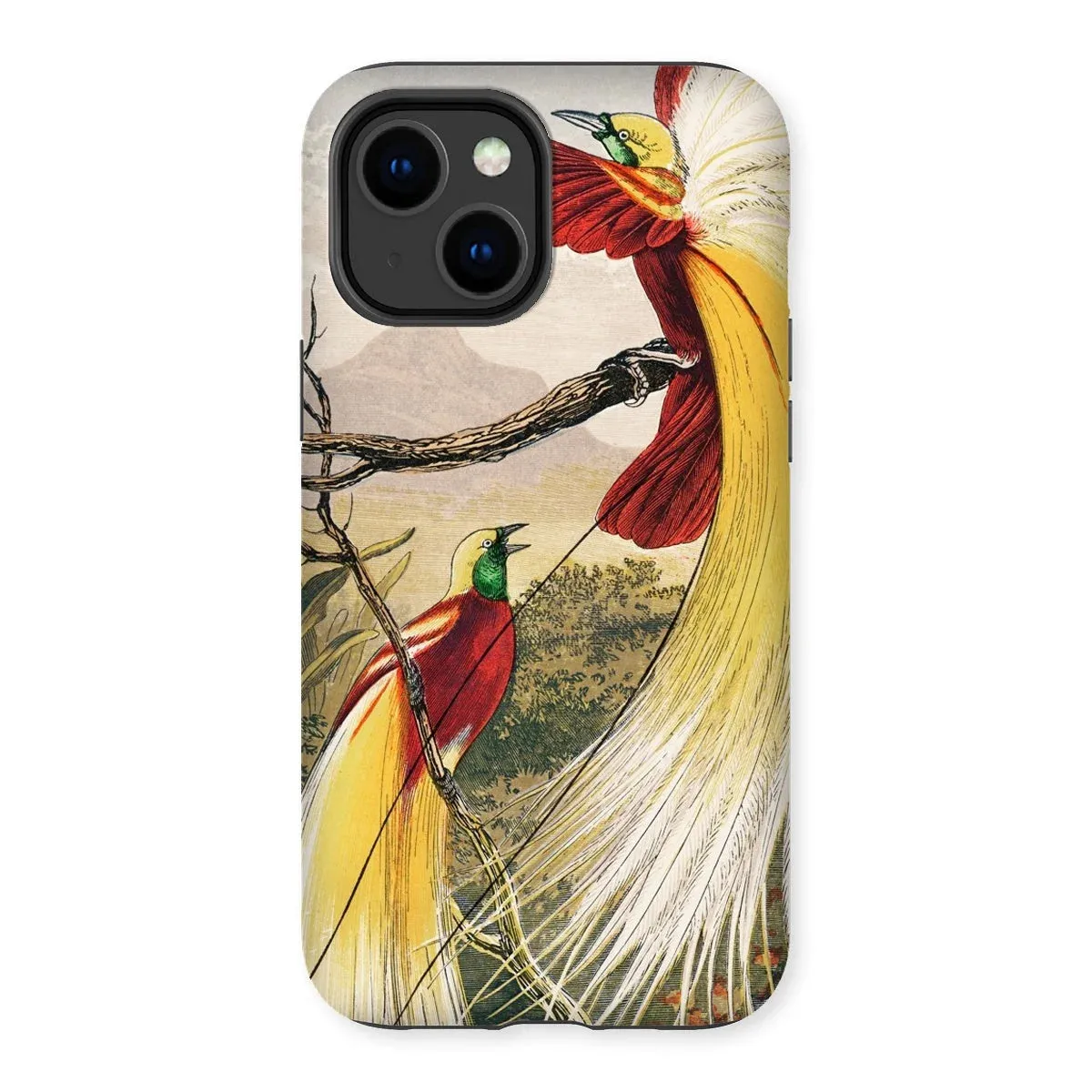 Bird of Paradise - Benjamin Fawcett iPhone Case