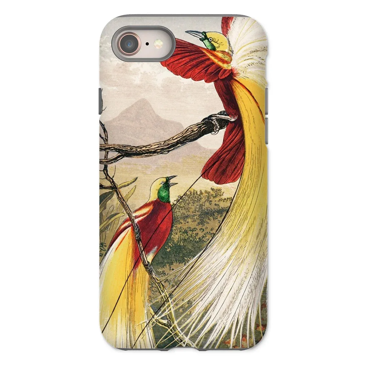 Bird of Paradise - Benjamin Fawcett iPhone Case