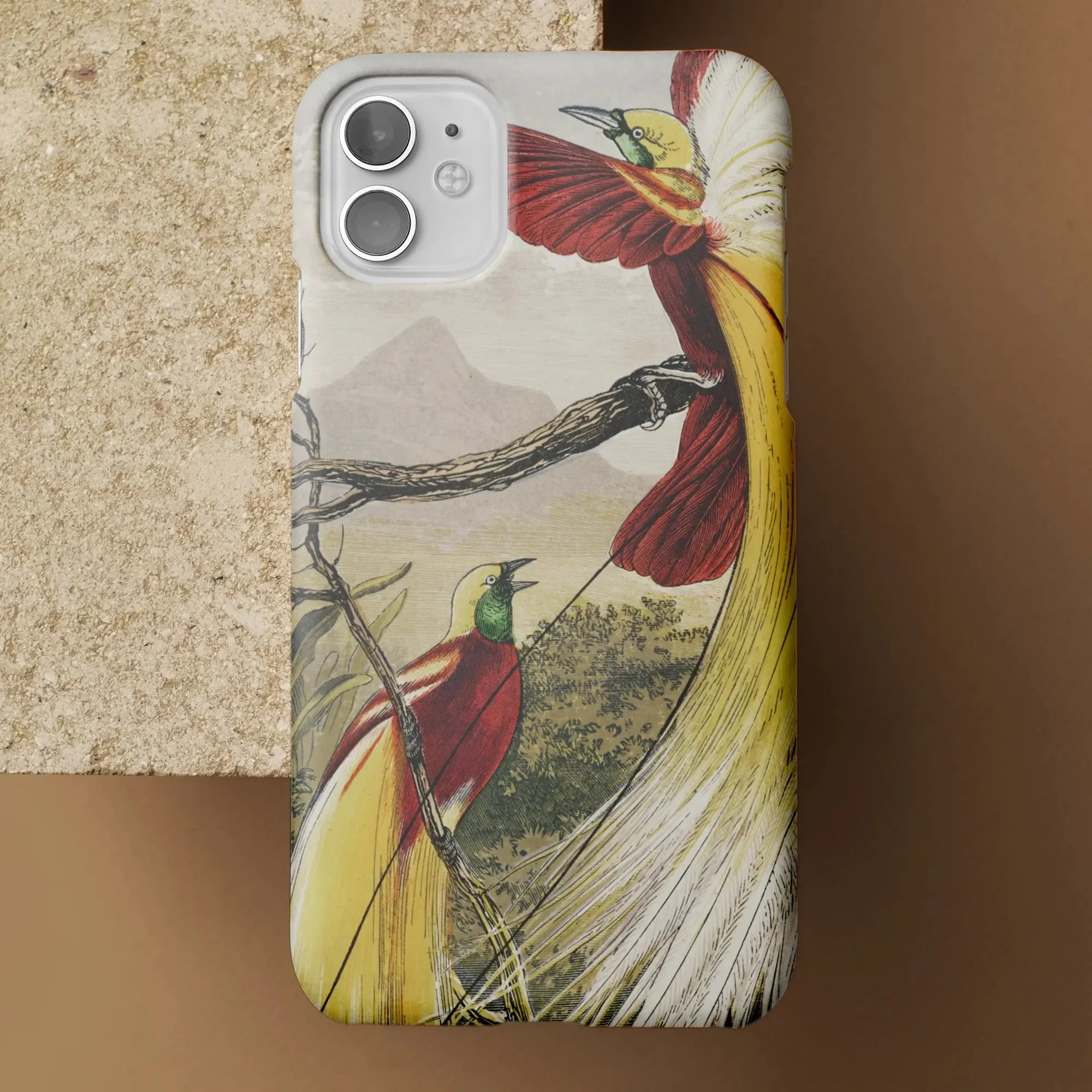 Bird of Paradise - Benjamin Fawcett iPhone Case