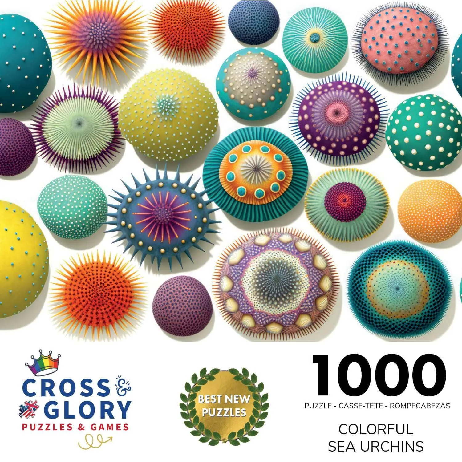 Colorful Sea Urchins - 1000 Piece Jigsaw Puzzle