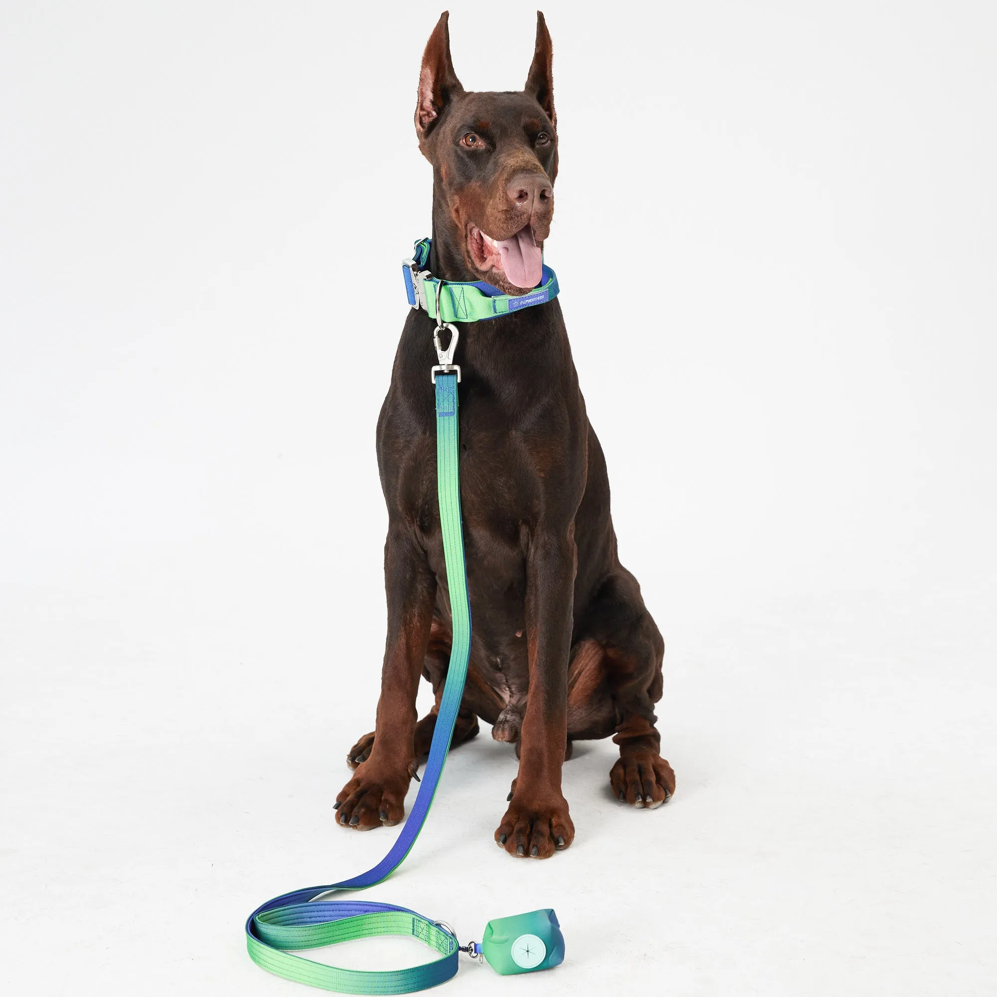 Complete Control Dog Collar & Leash Set - Aurora