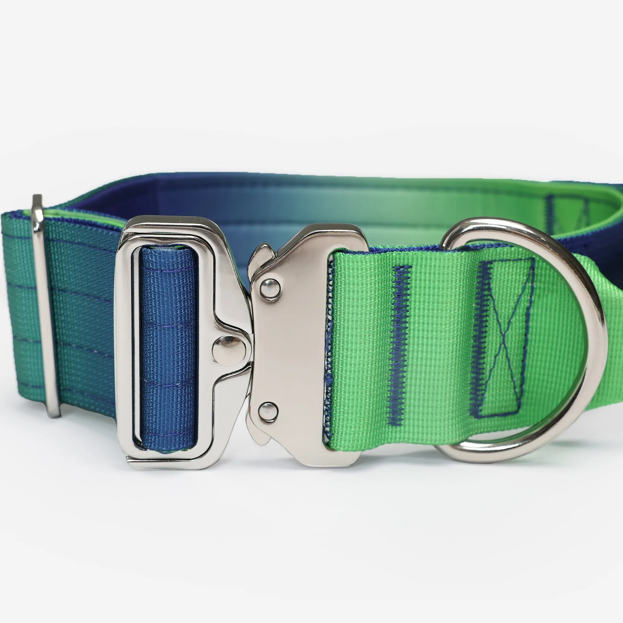 Complete Control Dog Collar & Leash Set - Aurora