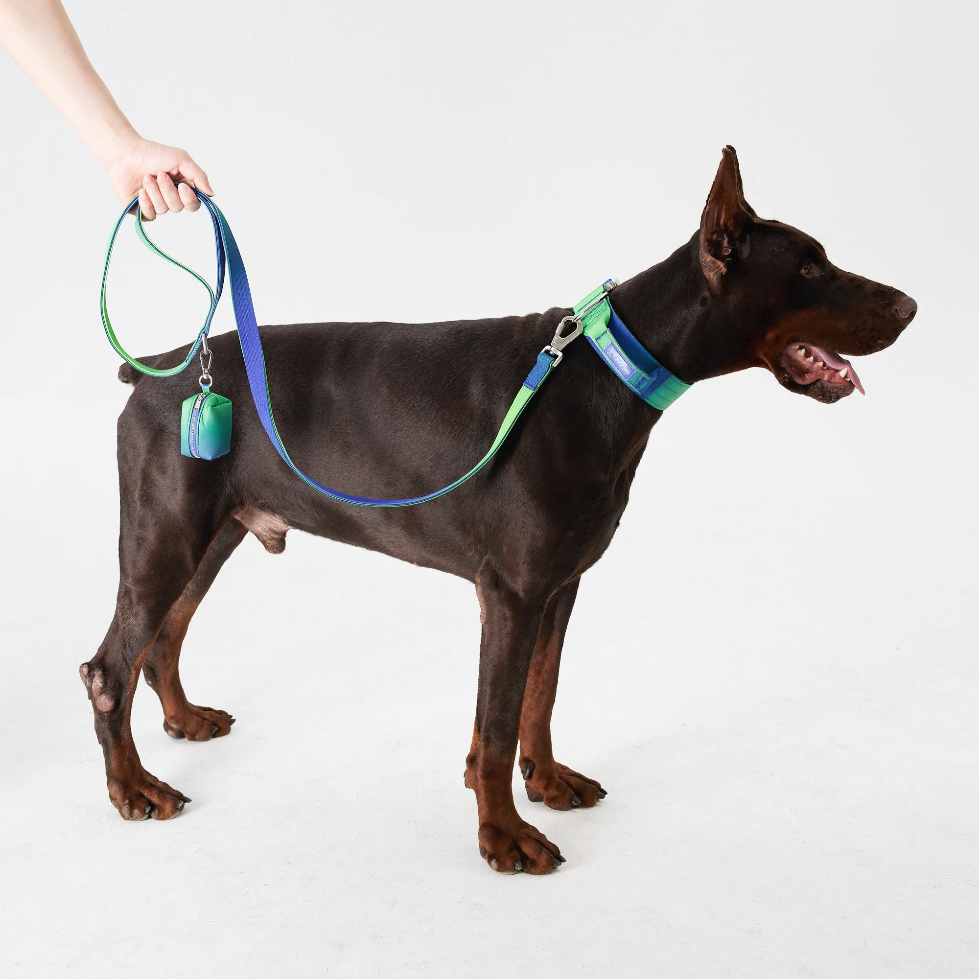 Complete Control Dog Collar & Leash Set - Aurora