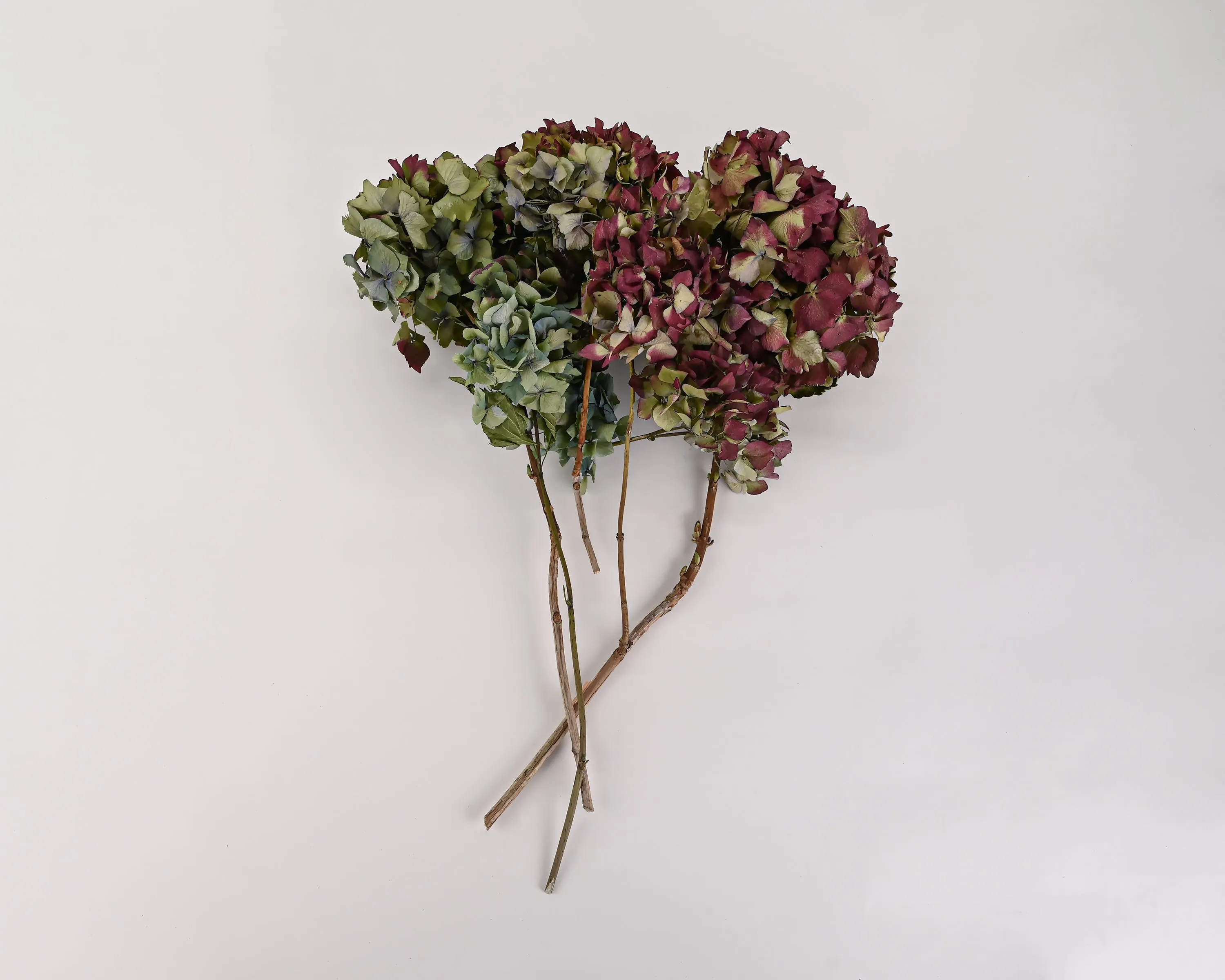 Dried Hydrangea Flower Bunch - Burgundy Color