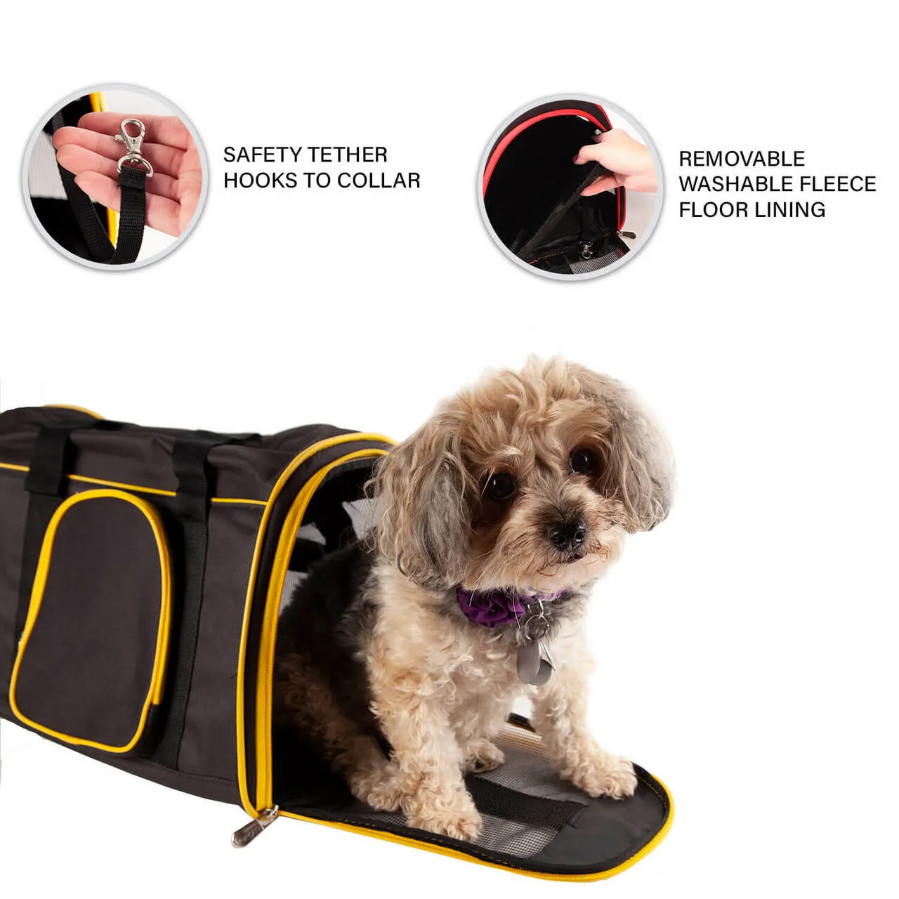 Hawaii 16" Premium Pet Carrier