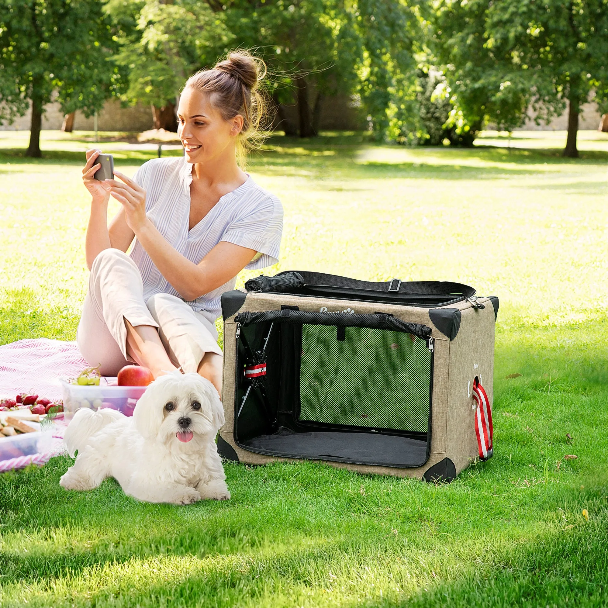 PawHut Collapsible Dog Crate Foldable Pet Carrier for Cats Small Dog 65x45x45cm