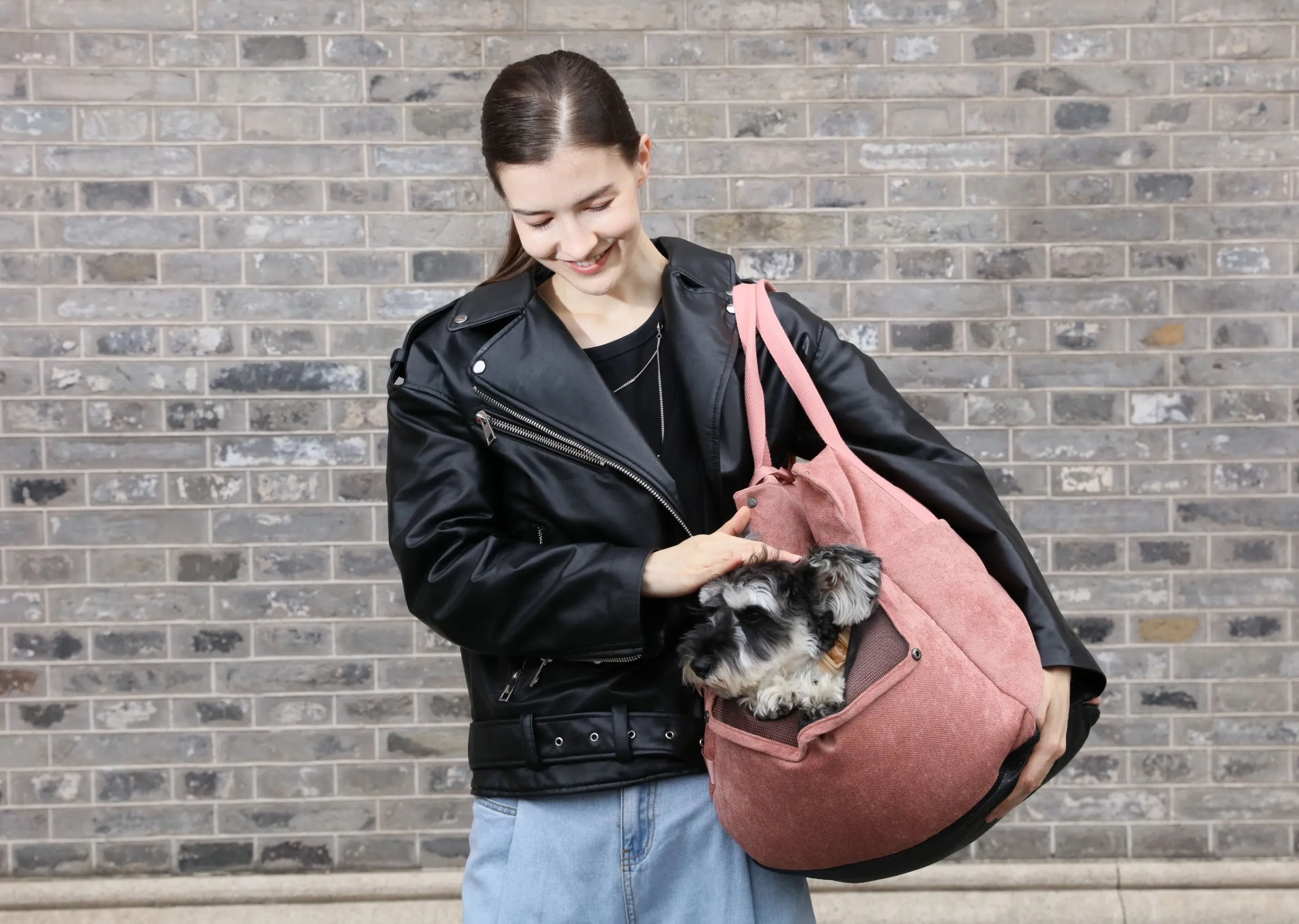 Puff Guard Dog Car Seat - Pink