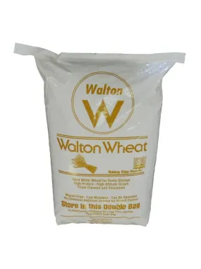 Rainy Day Foods Hard White Wheat Double Plastic 25 lbs Bag - 113 Servings