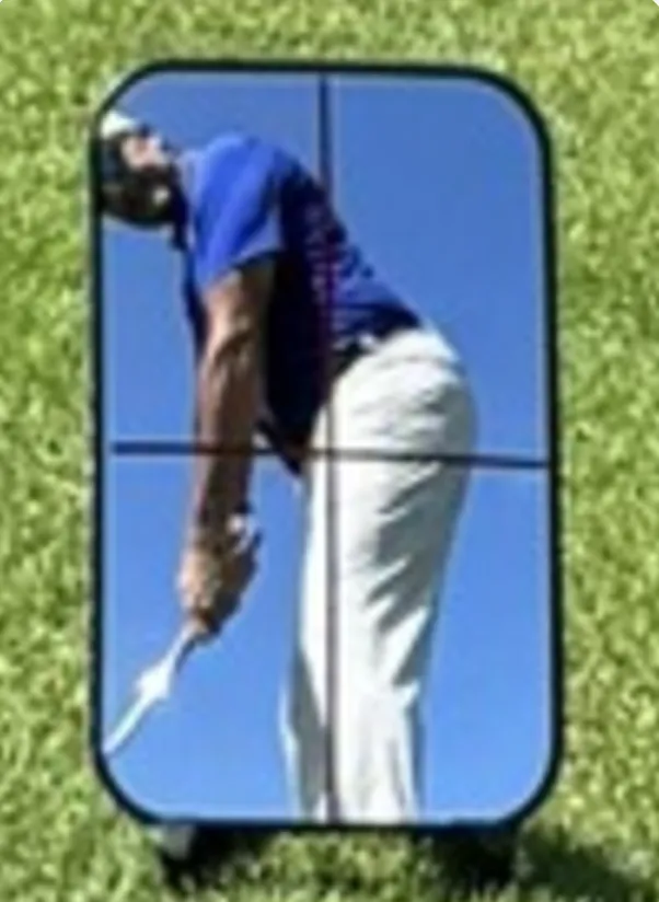 The Leadbetter Swing Check Mirror